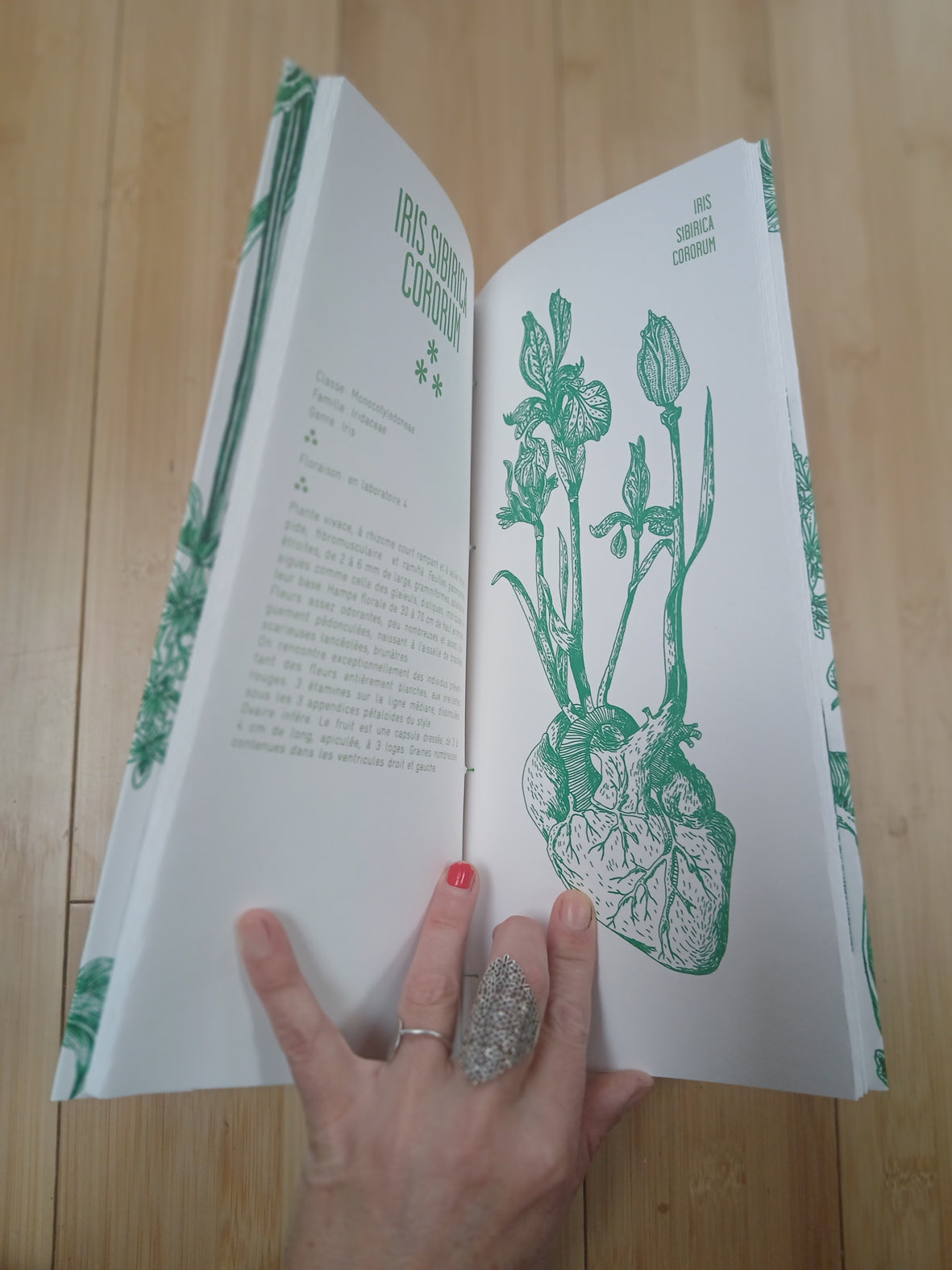 Herbier du 24e siècle